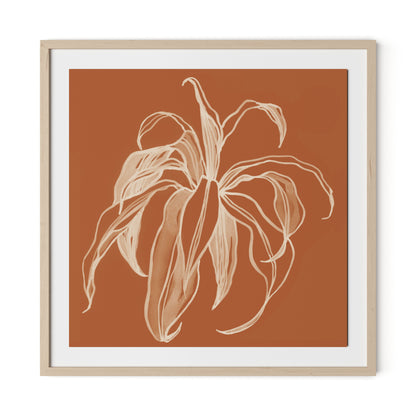 Dracaena Terracotta Framed Paper / 32 x 32 in / Natural Maple