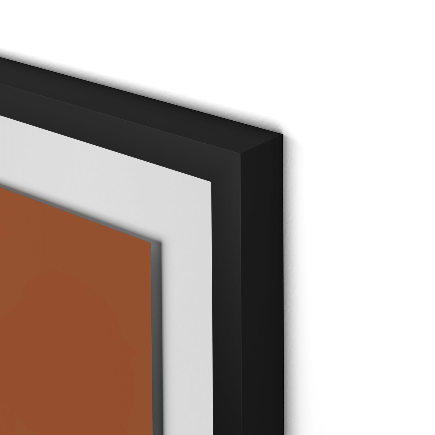 Dracaena Terracotta Framed Paper / 32 x 32 in / Black