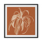 Dracaena Terracotta Framed Paper / 32 x 32 in / Black
