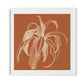 Dracaena Terracotta Framed Paper / 32 x 32 in / White