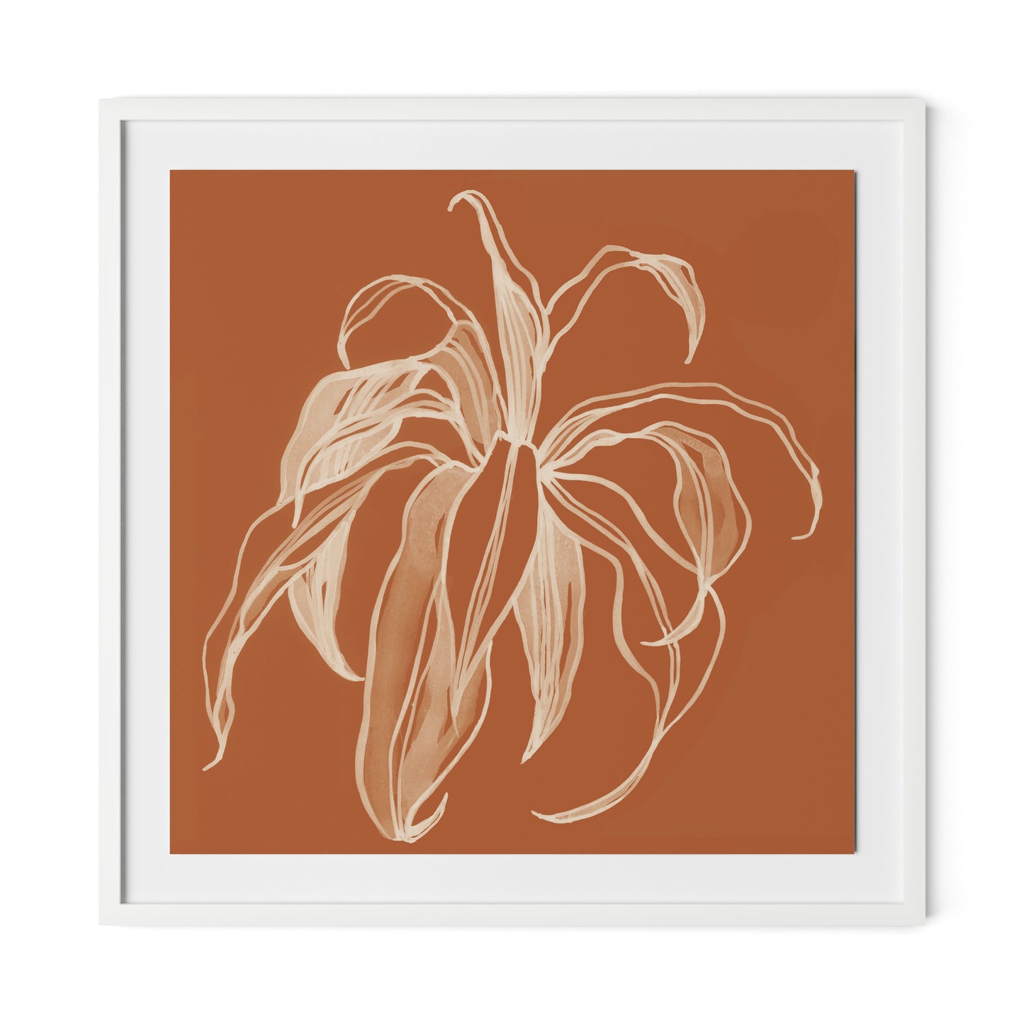Dracaena Terracotta Framed Paper / 32 x 32 in / White