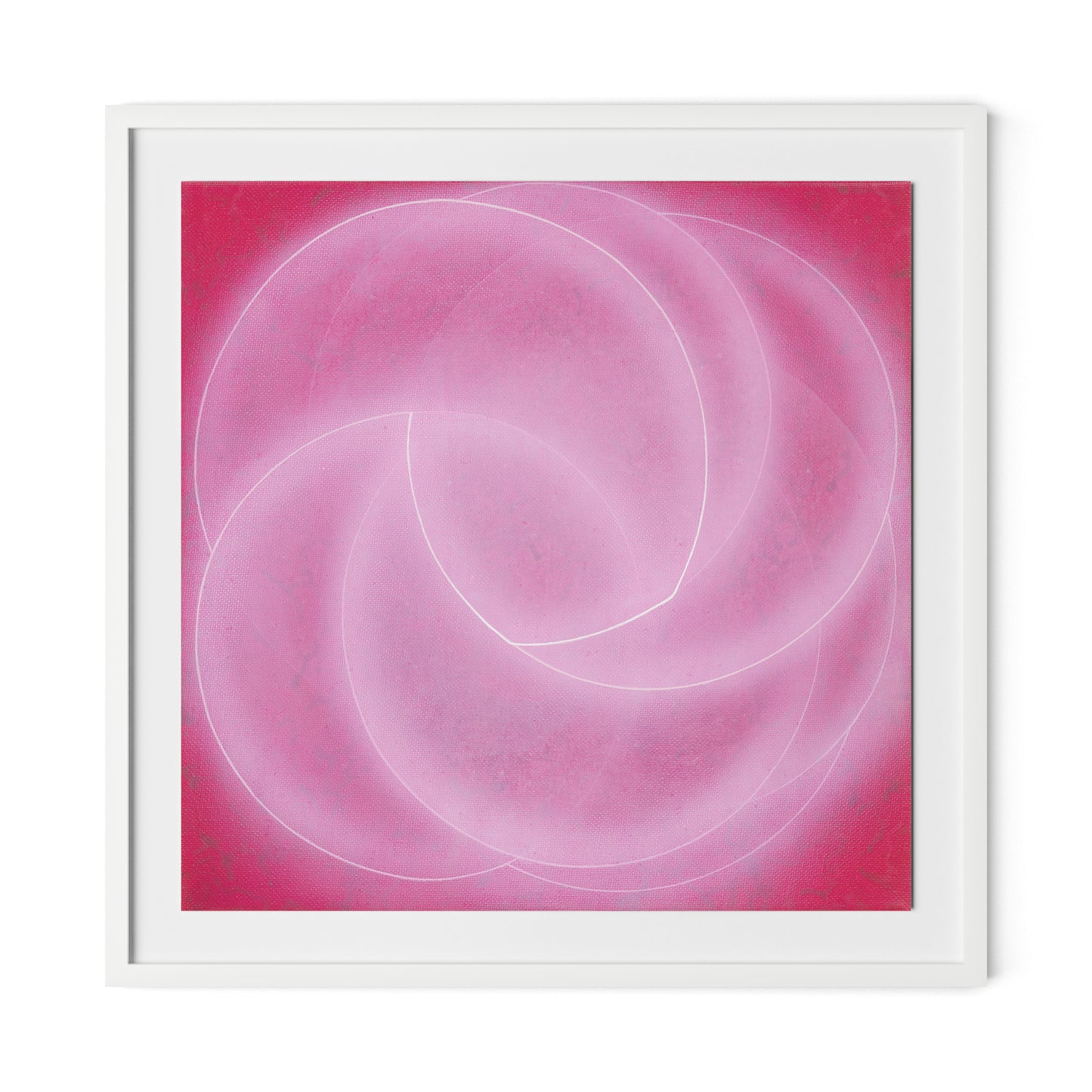 Rose II Framed Paper / 32 x 32 in / White