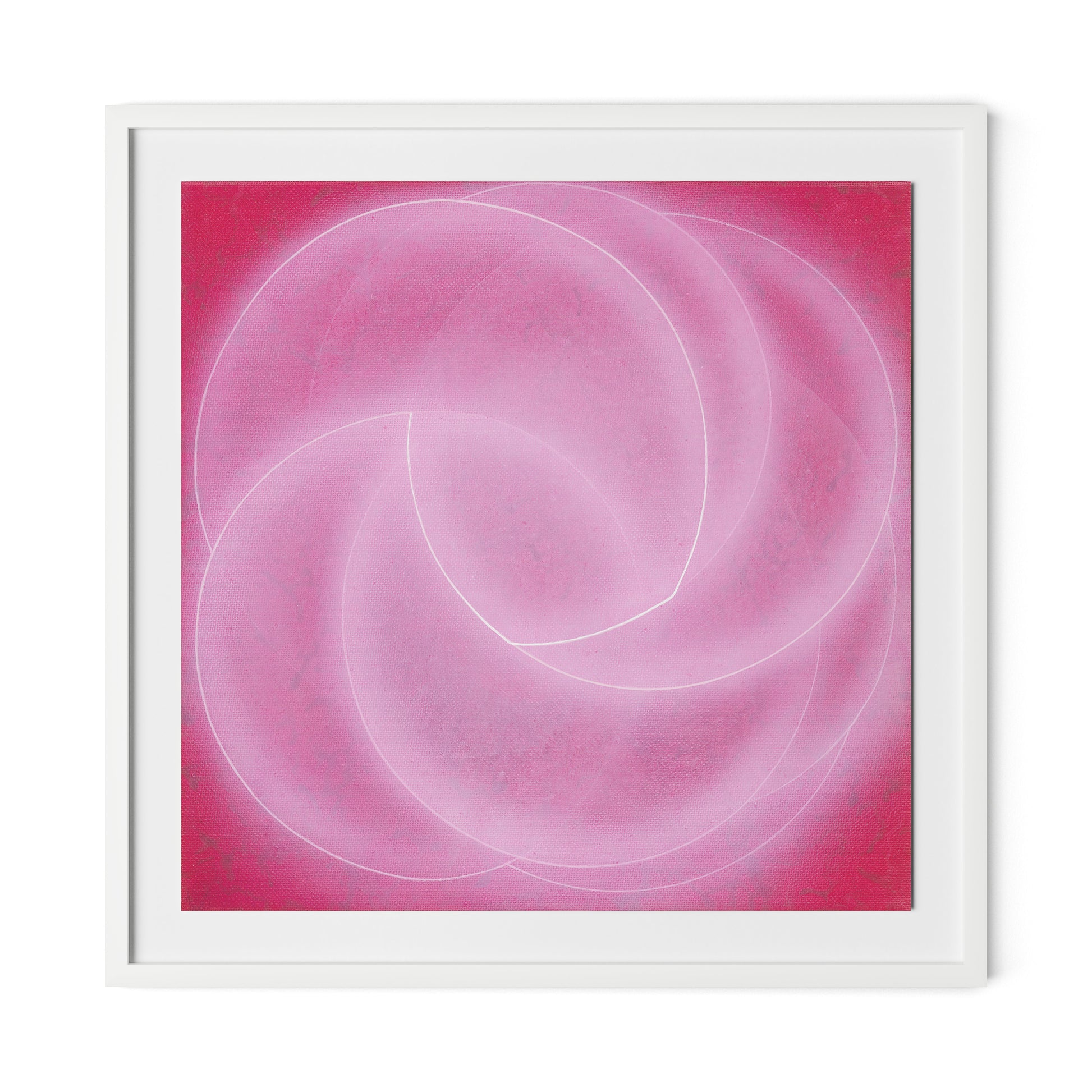Rose II Framed Paper / 32 x 32 in / White