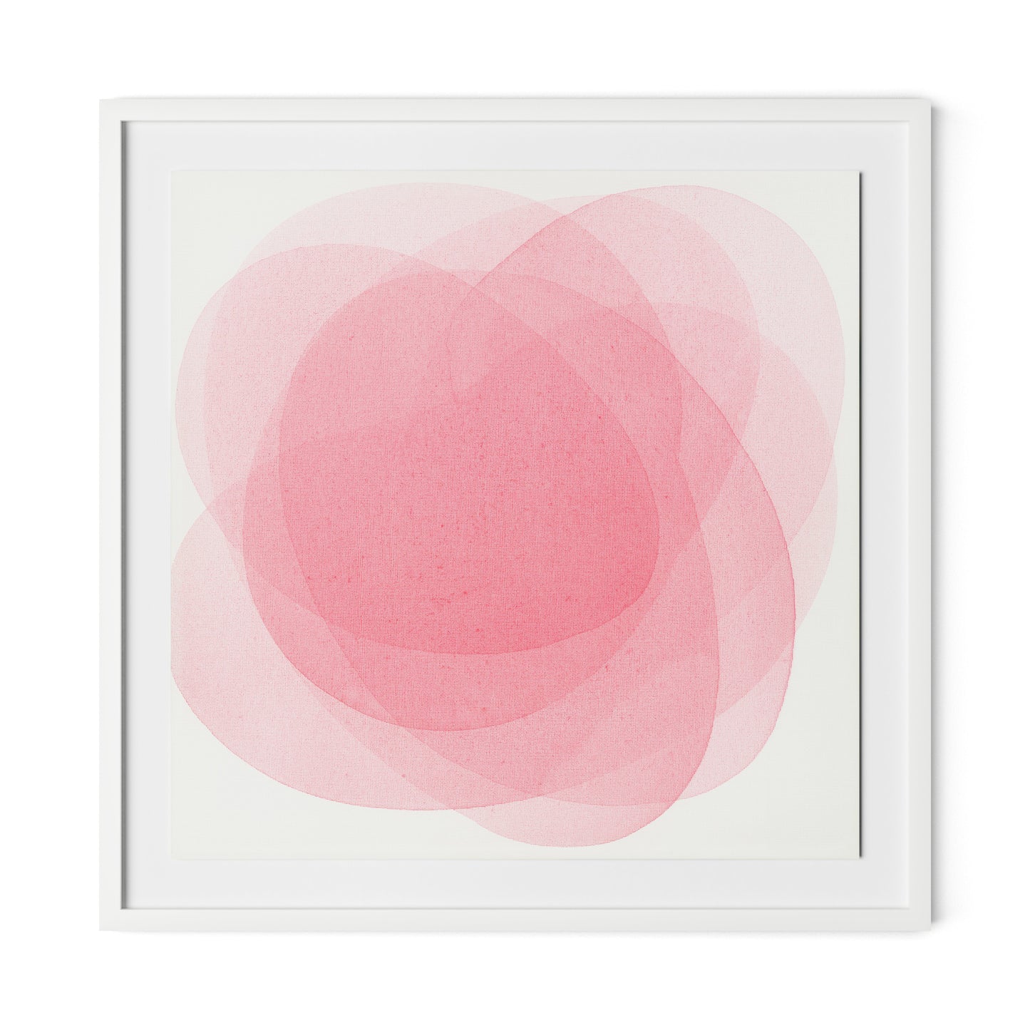 Rose I Framed Paper / 32 x 32 in / White