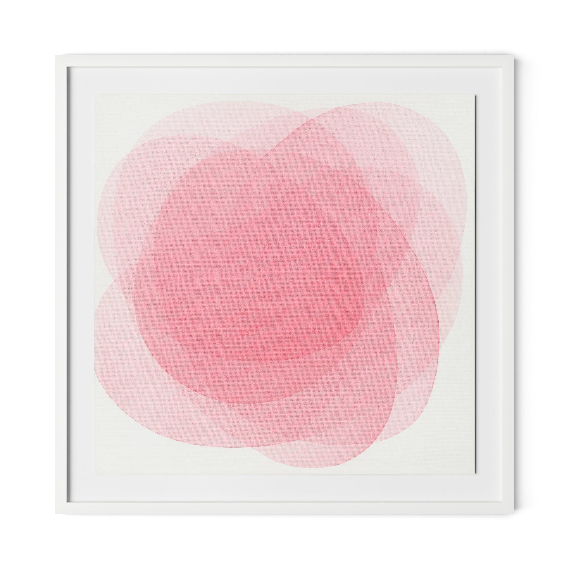 Rose I Framed Paper / 32 x 32 in / White