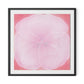 Wild Rose Framed Paper / 32 x 32 in / Black