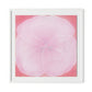 Wild Rose Framed Paper / 32 x 32 in / White