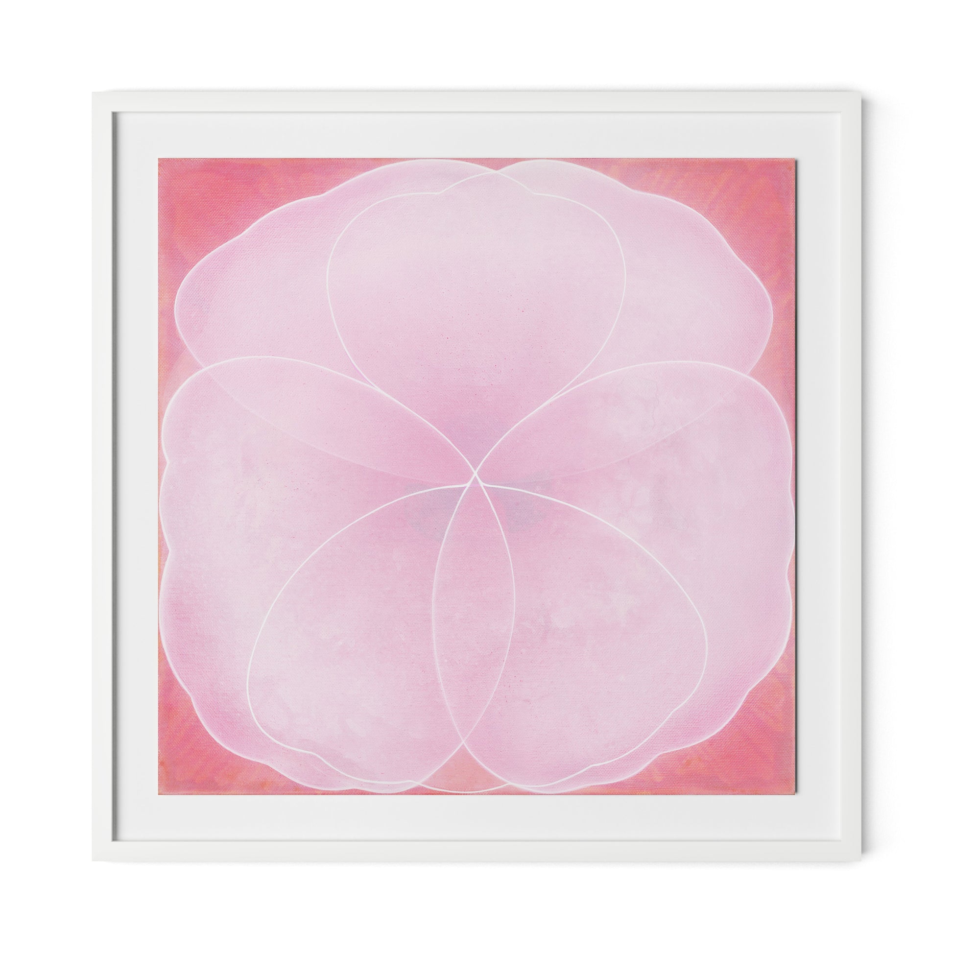 Wild Rose Framed Paper / 32 x 32 in / White