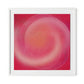 Rose III Framed Paper / 32 x 32 in / White