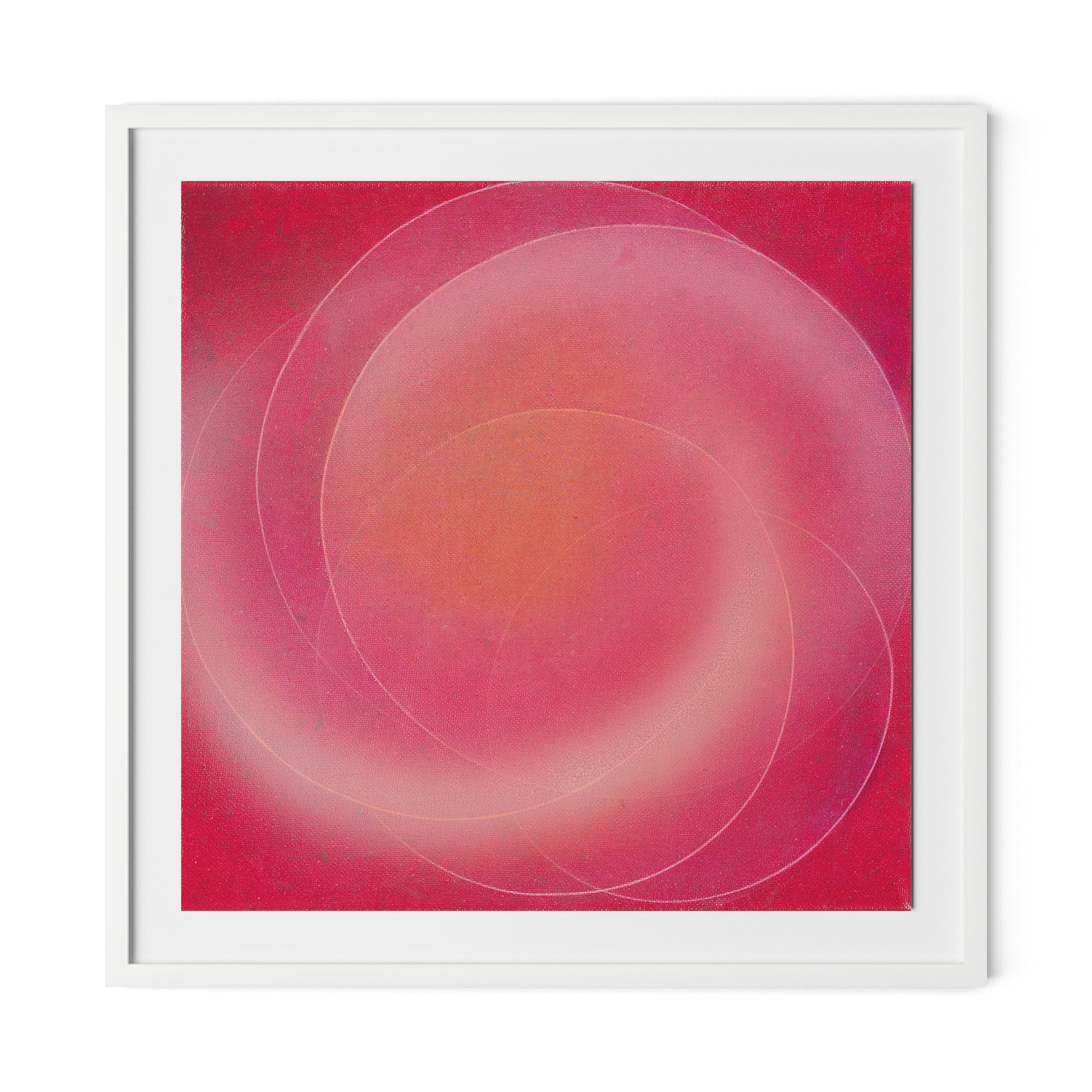 Rose III Framed Paper / 32 x 32 in / White