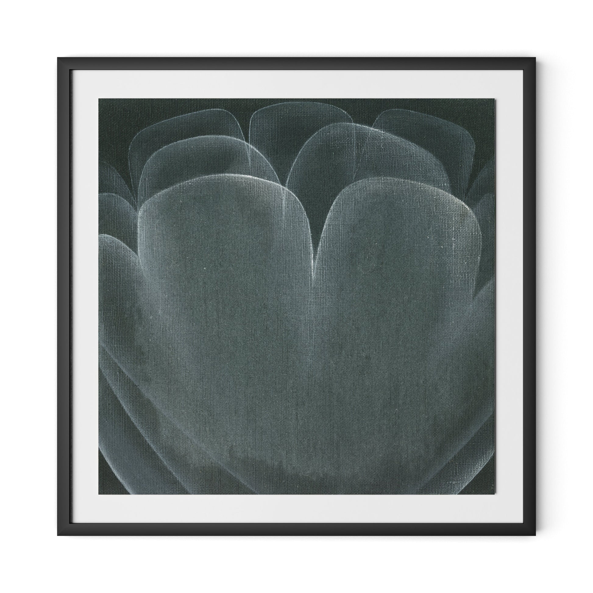 Shadows II Framed Paper / 32 x 32 in / Black