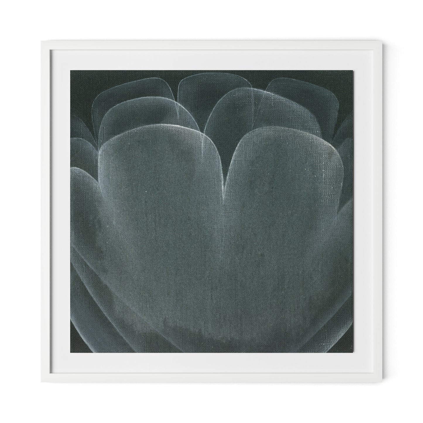 Shadows II Framed Paper / 32 x 32 in / White