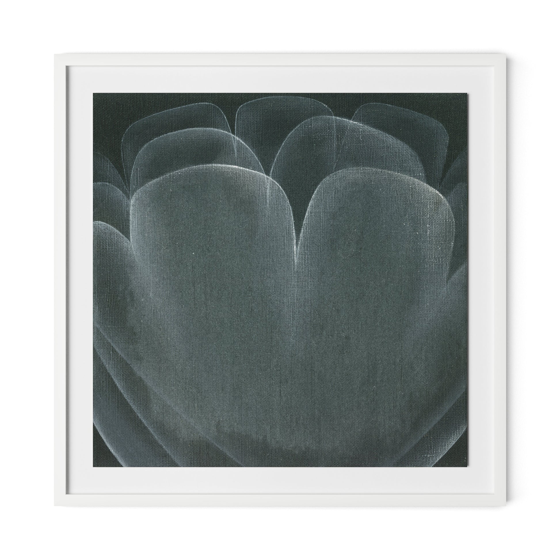 Shadows II Framed Paper / 32 x 32 in / White