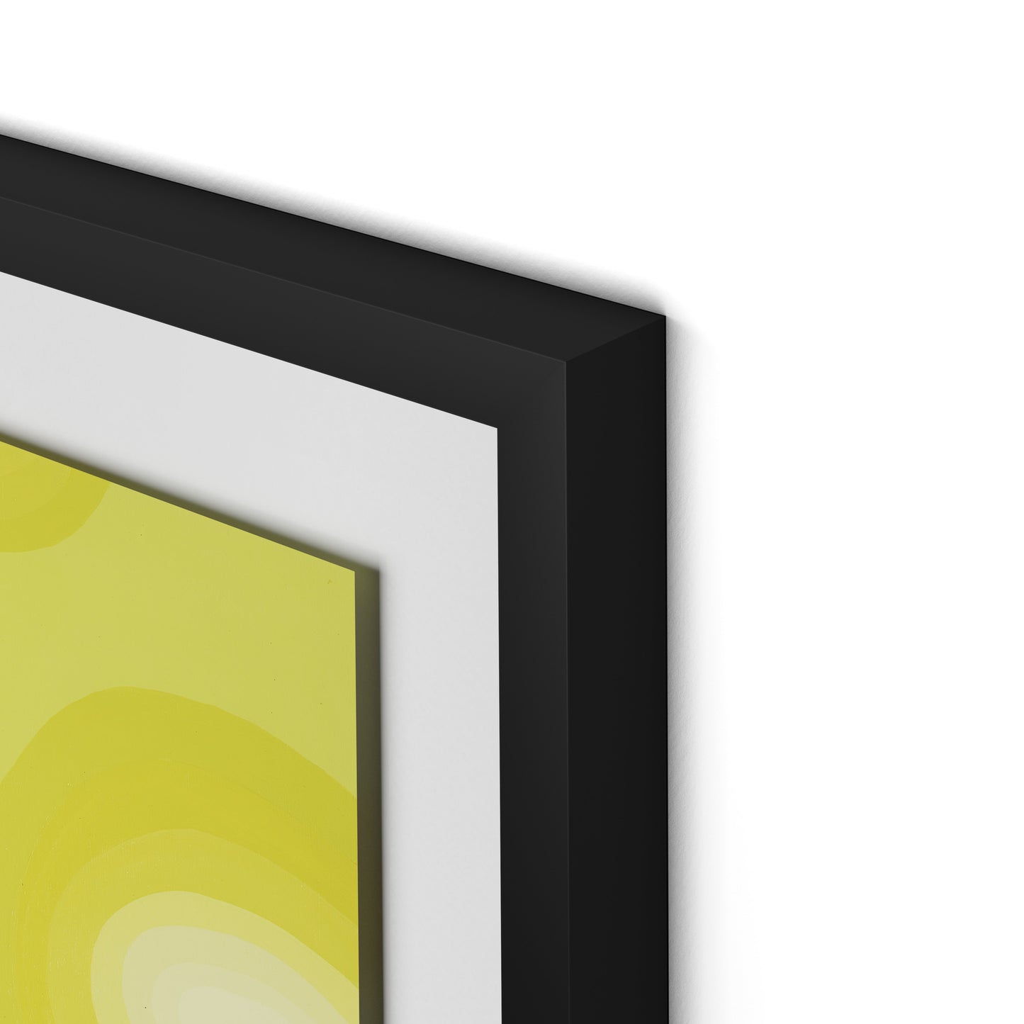 Citrus Rounds Framed Paper / 20.5 x 32 in / Black