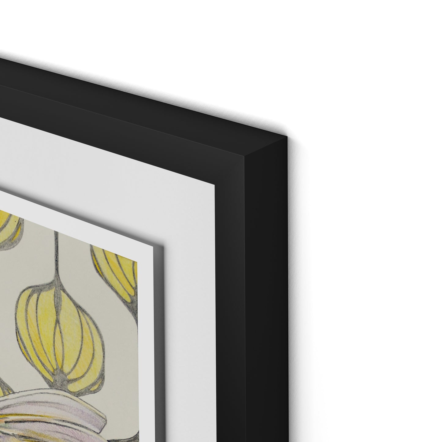 Amazilia Lanterns Framed Paper / 18 x 24 in / Black