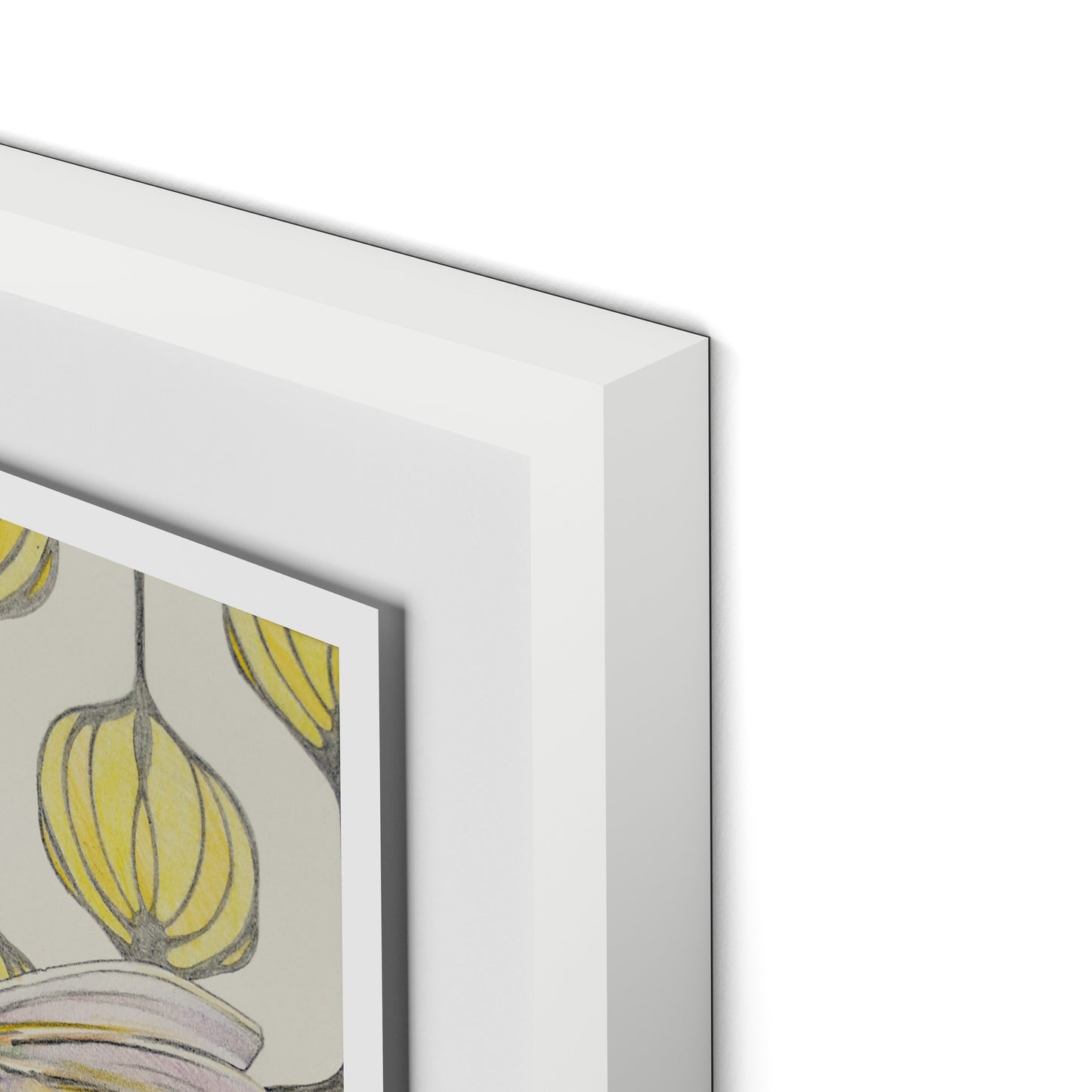 Amazilia Lanterns Framed Paper / 18 x 24 in / White