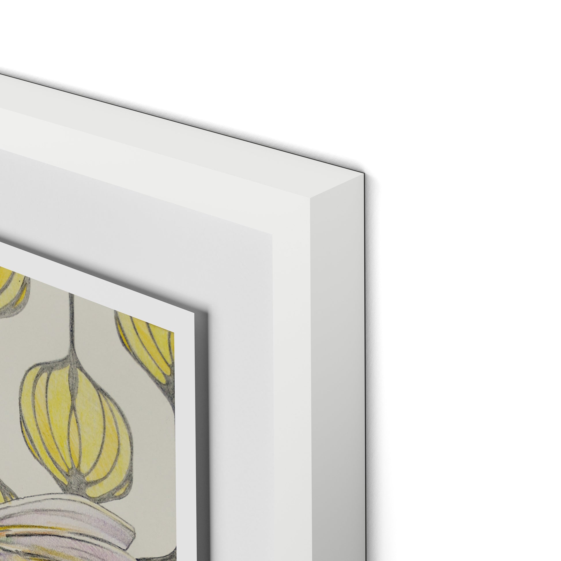 Amazilia Lanterns Framed Paper / 18 x 24 in / White