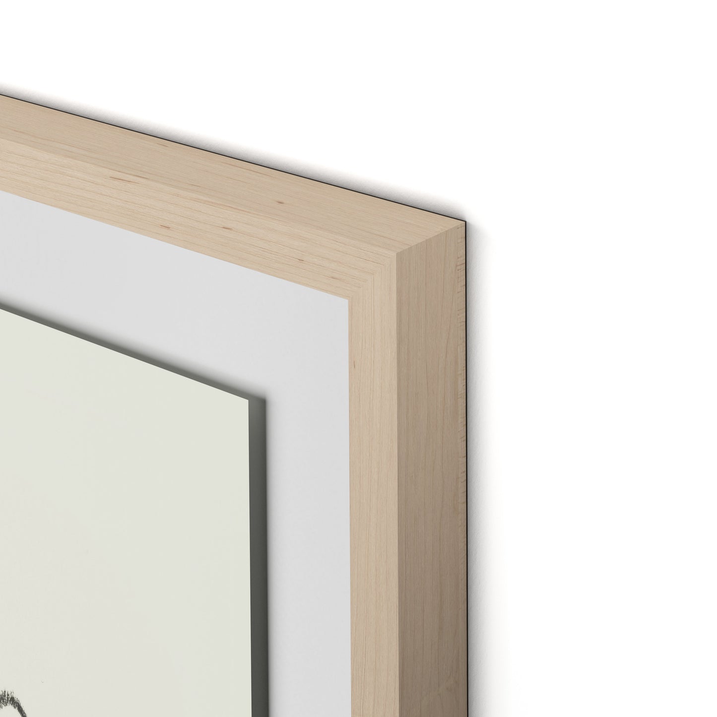 House Plant Framed Paper / 24 x 32 in / Natural Maple