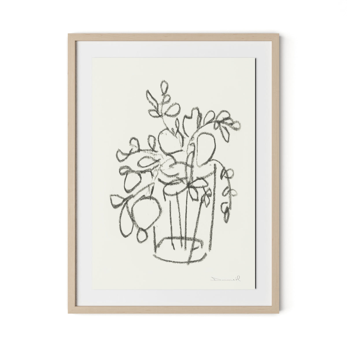 House Plant