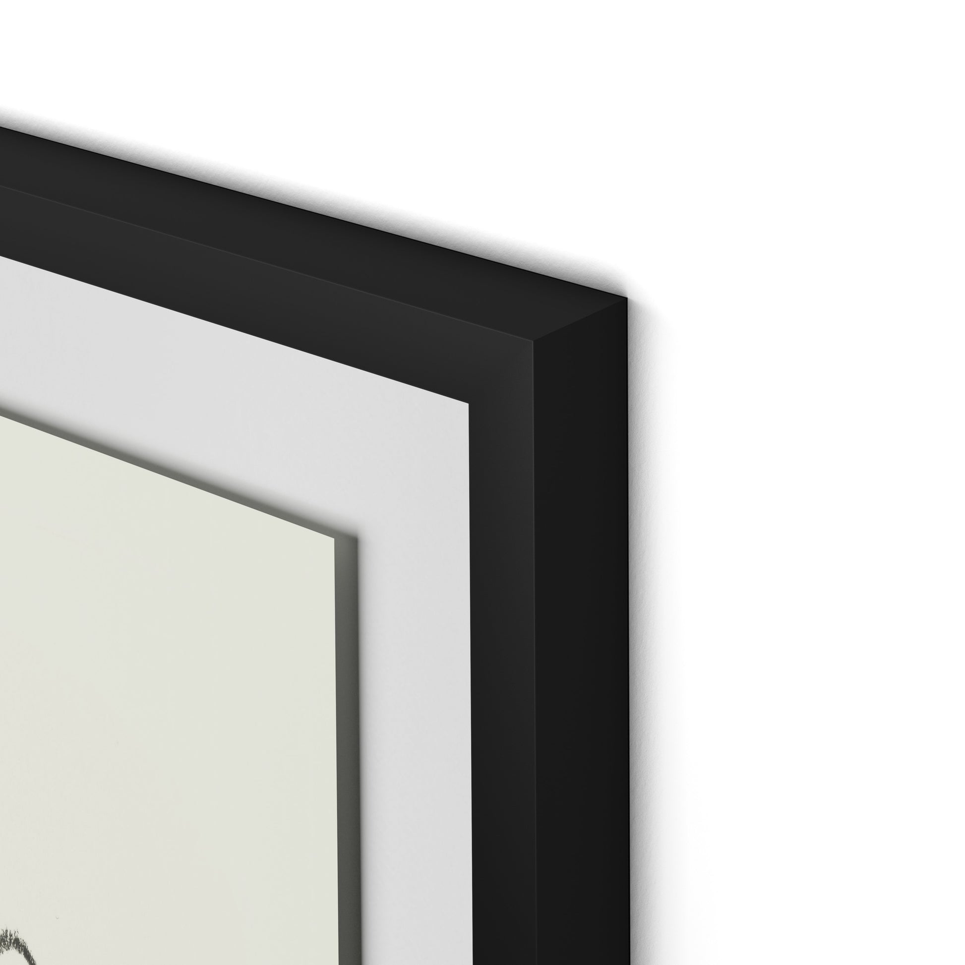 House Plant Framed Paper / 24 x 32 in / Black