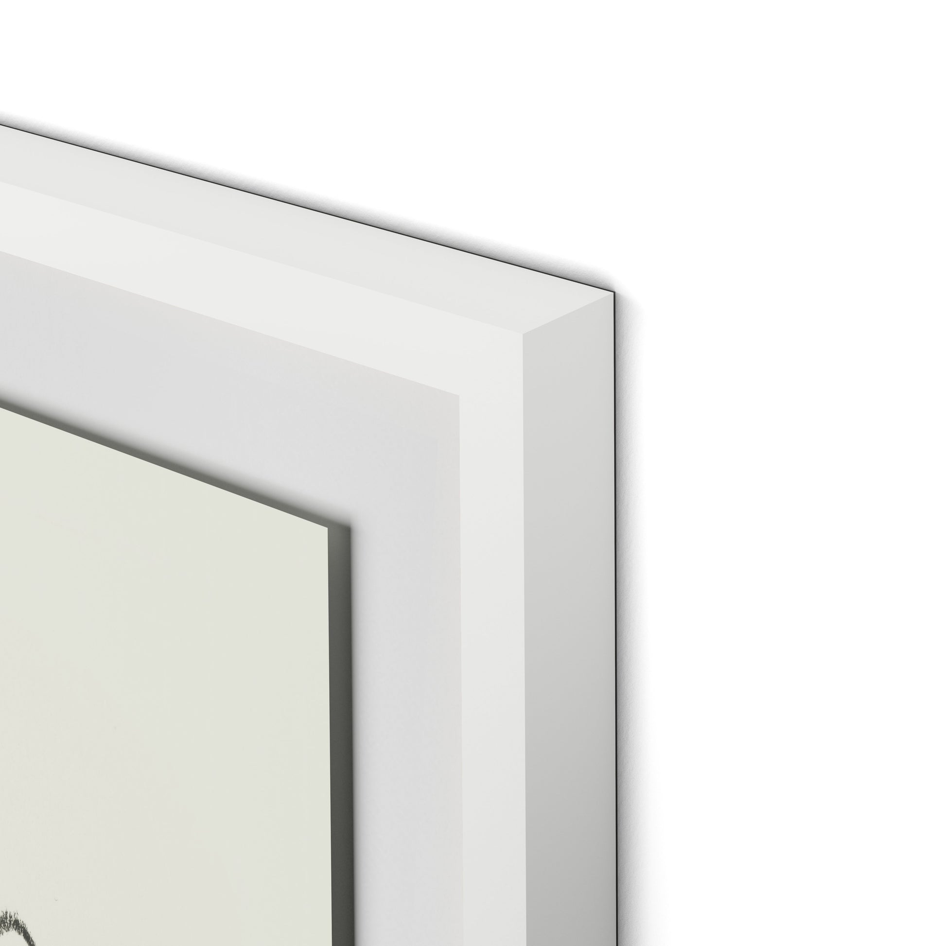 House Plant Framed Paper / 24 x 32 in / White