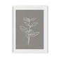 Eucalyptus Sapling - Muddled Framed Paper / 24 x 32 in / White