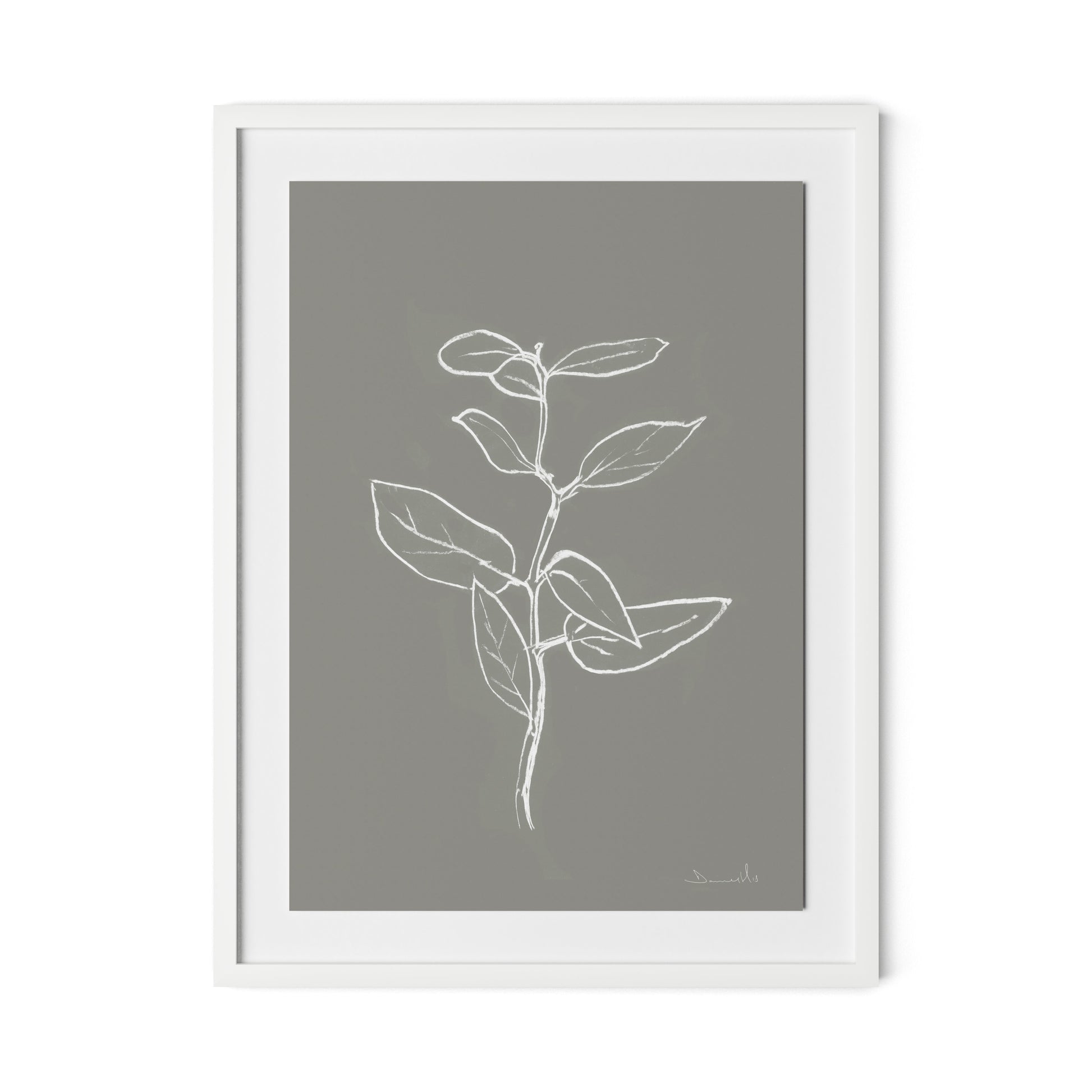 Eucalyptus Sapling - Muddled Framed Paper / 24 x 32 in / White