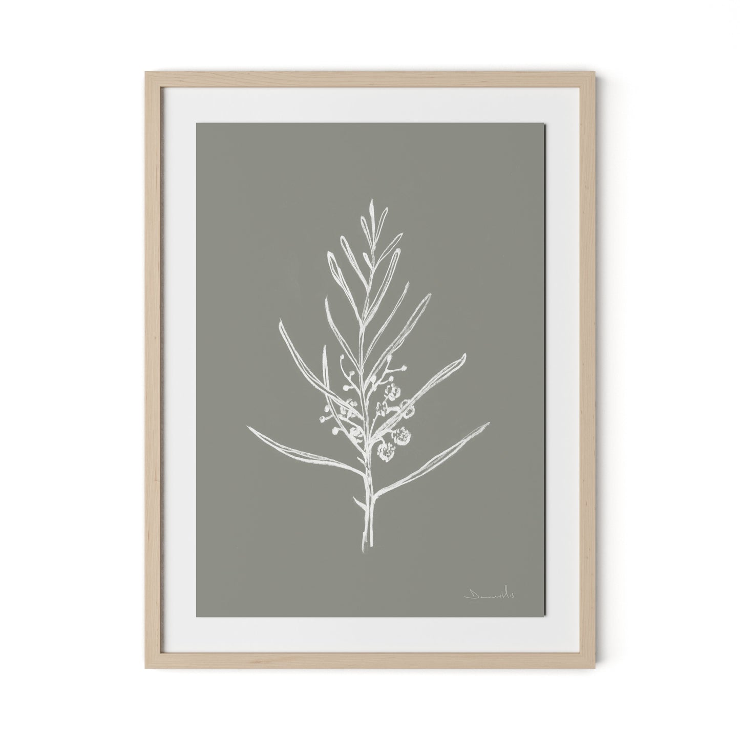 Blackwood Sapling - Muddled Framed Paper / 24 x 32 in / Natural Maple