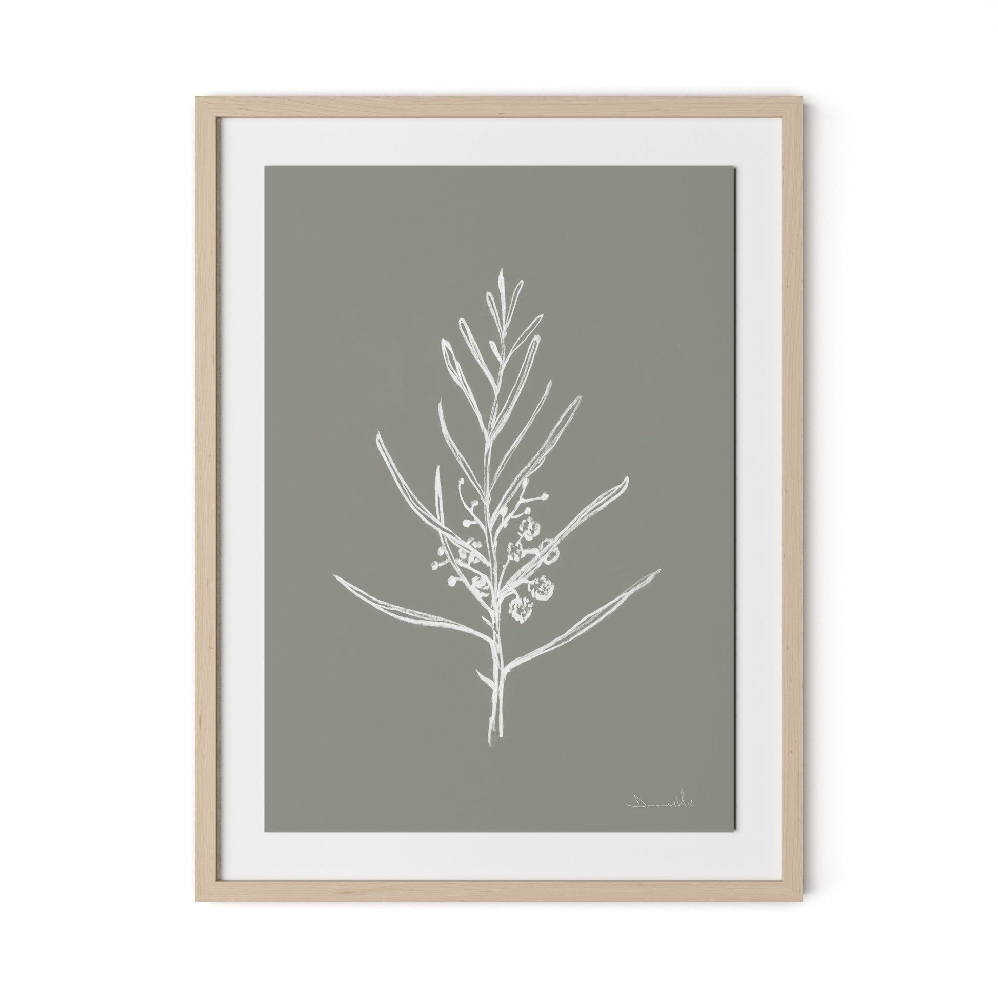 Blackwood Sapling - Muddled Framed Paper / 24 x 32 in / Natural Maple