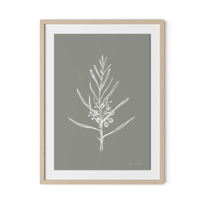 Blackwood Sapling - Muddled Framed Paper / 24 x 32 in / Natural Maple