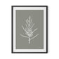 Blackwood Sapling - Muddled Framed Paper / 24 x 32 in / Black
