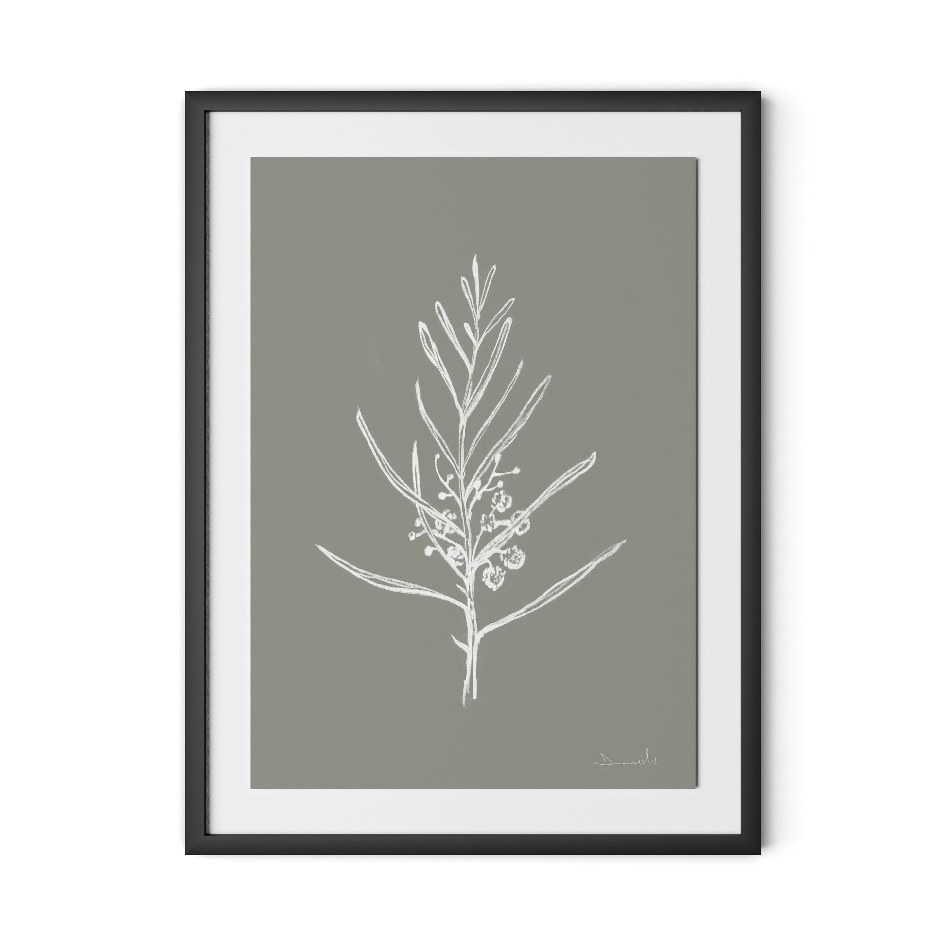 Blackwood Sapling - Muddled Framed Paper / 24 x 32 in / Black