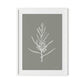 Blackwood Sapling - Muddled Framed Paper / 24 x 32 in / White