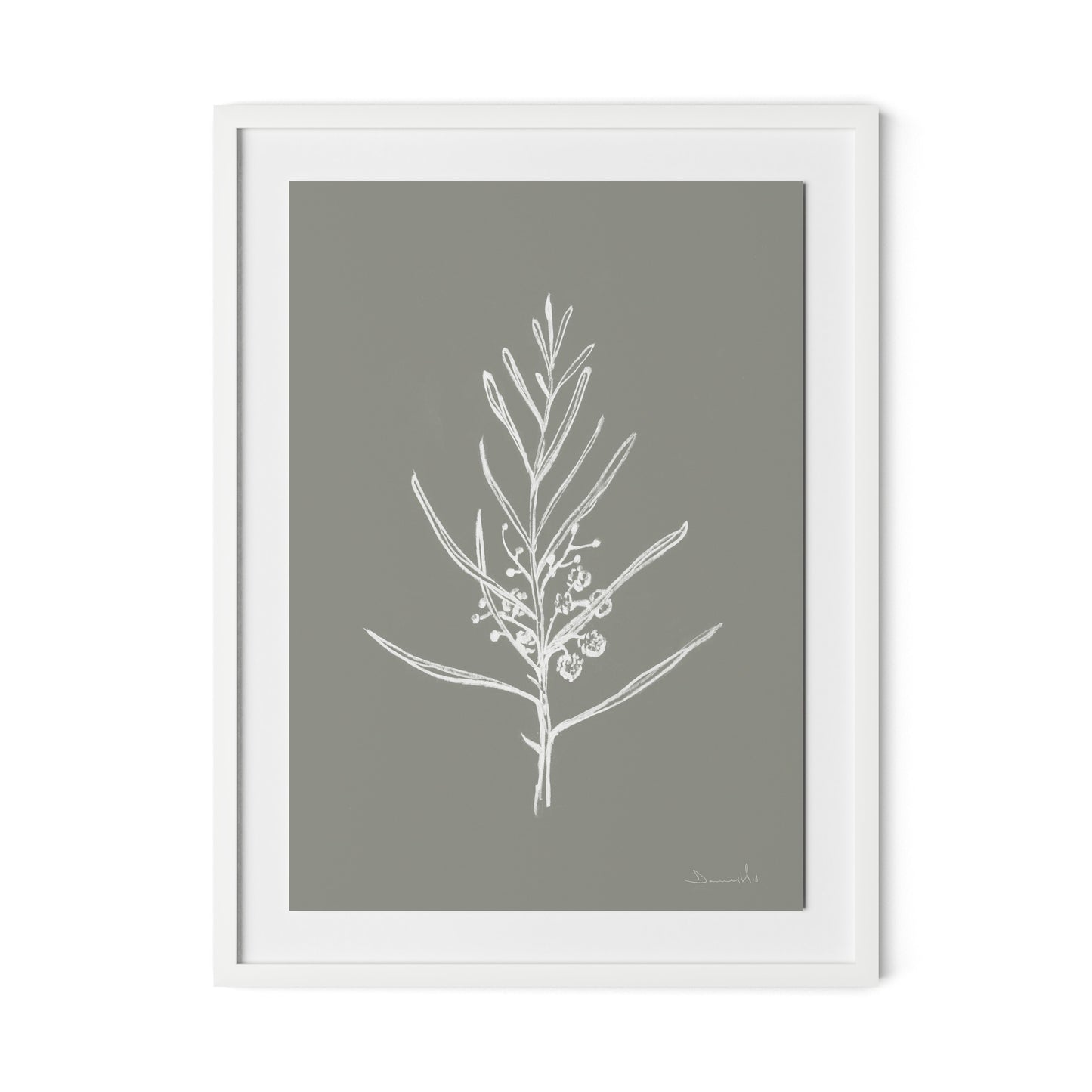 Blackwood Sapling - Muddled Framed Paper / 24 x 32 in / White