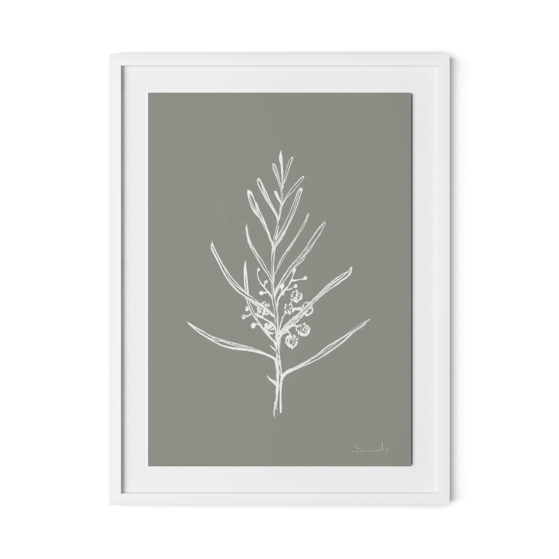 Blackwood Sapling - Muddled Framed Paper / 24 x 32 in / White