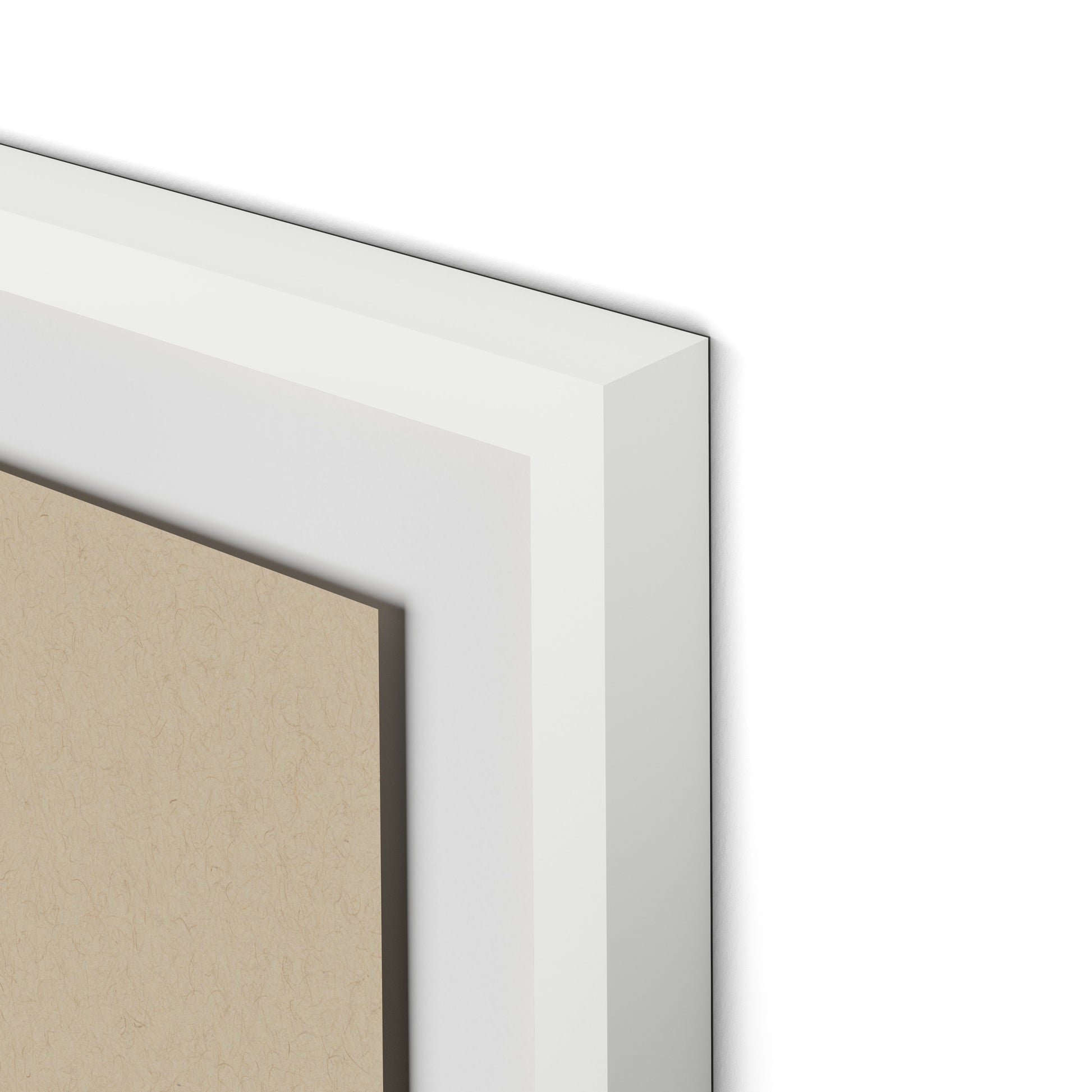 Botanical IV Framed Paper / 24 x 32 in / White