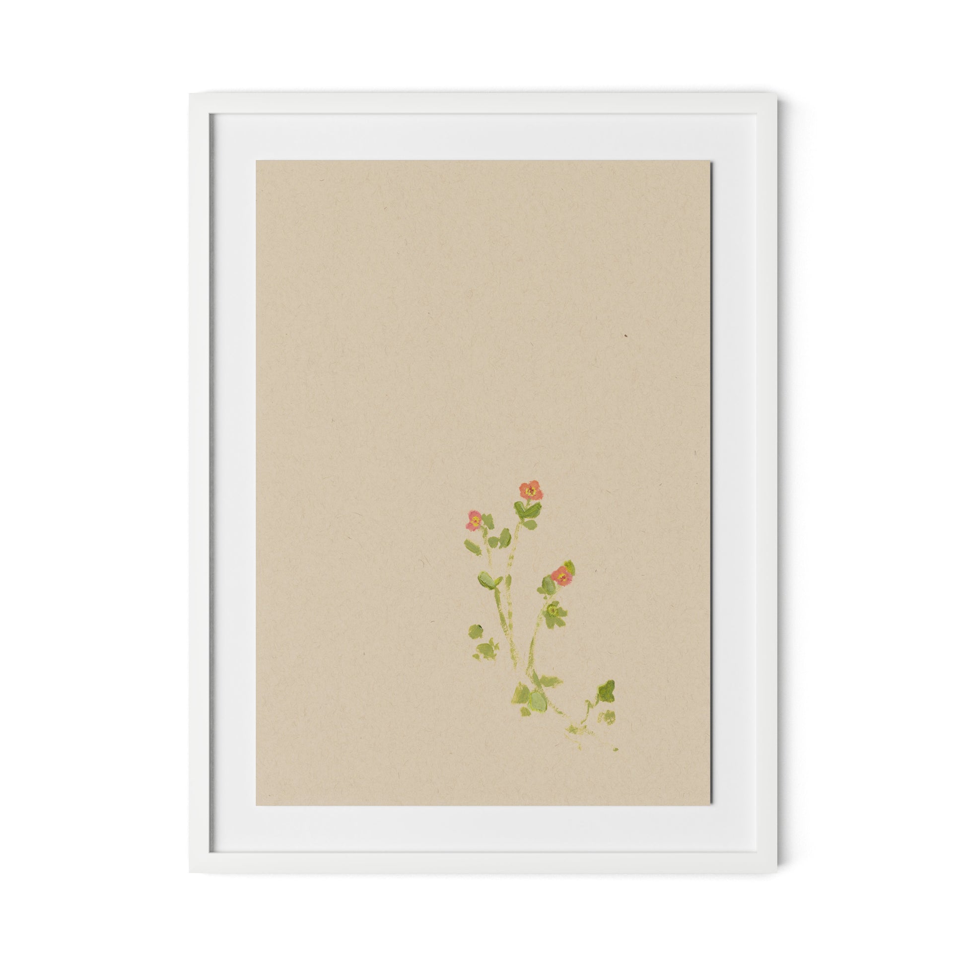 Botanical IV Framed Paper / 24 x 32 in / White