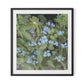 Forget Me Nots Framed Paper / 29.5 x 32 in / Black