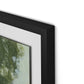 Respite XI Framed Paper / 24 x 32 in / Black