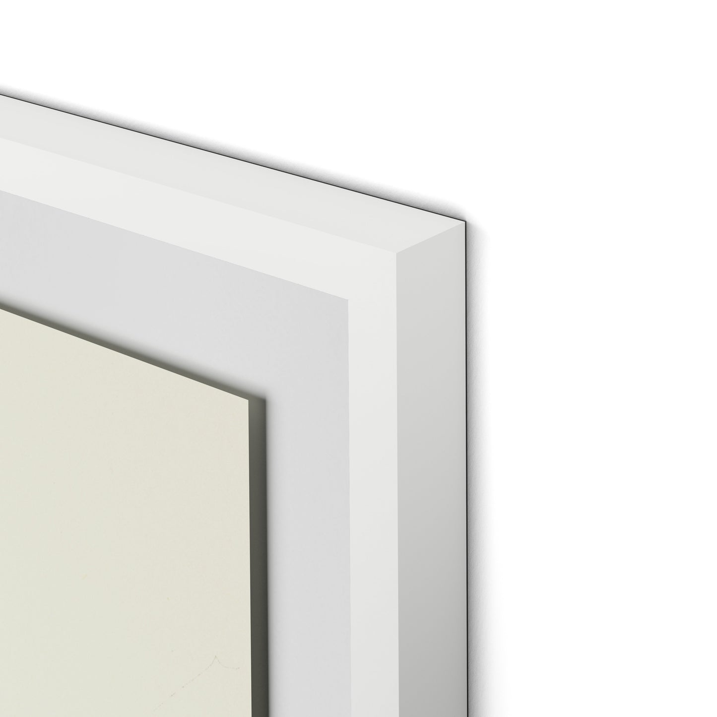 Barn and Tire Swing Framed Paper / 26.5 x 32 in / White