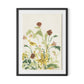 Meadow Rue 2 Framed Paper / 24 x 32 in / Black