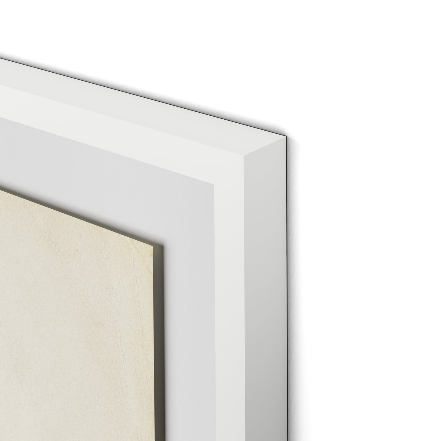 Meadow Rue 2 Framed Paper / 24 x 32 in / White