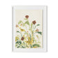 Meadow Rue 2 Framed Paper / 24 x 32 in / White