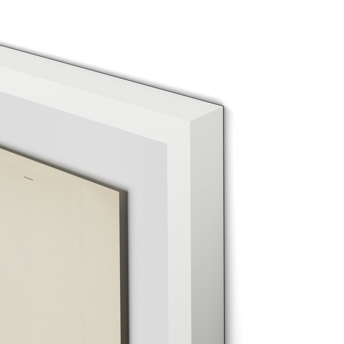 Marguerite Bleue Framed Paper / 24 x 32 in / White