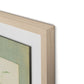 Sage Meadow Rue II Framed Paper / 24 x 32 in / Natural Maple