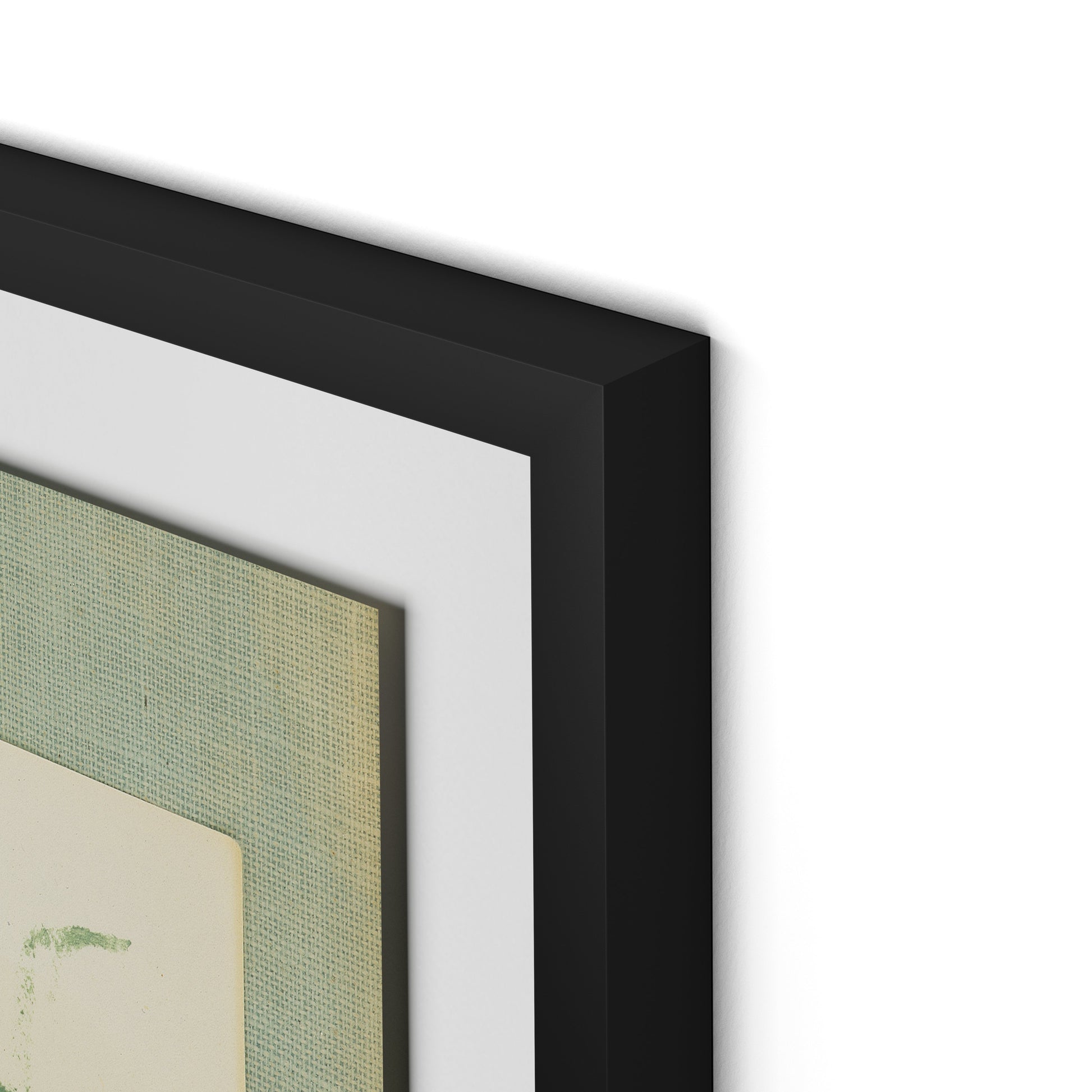 Sage Meadow Rue II Framed Paper / 24 x 32 in / Black