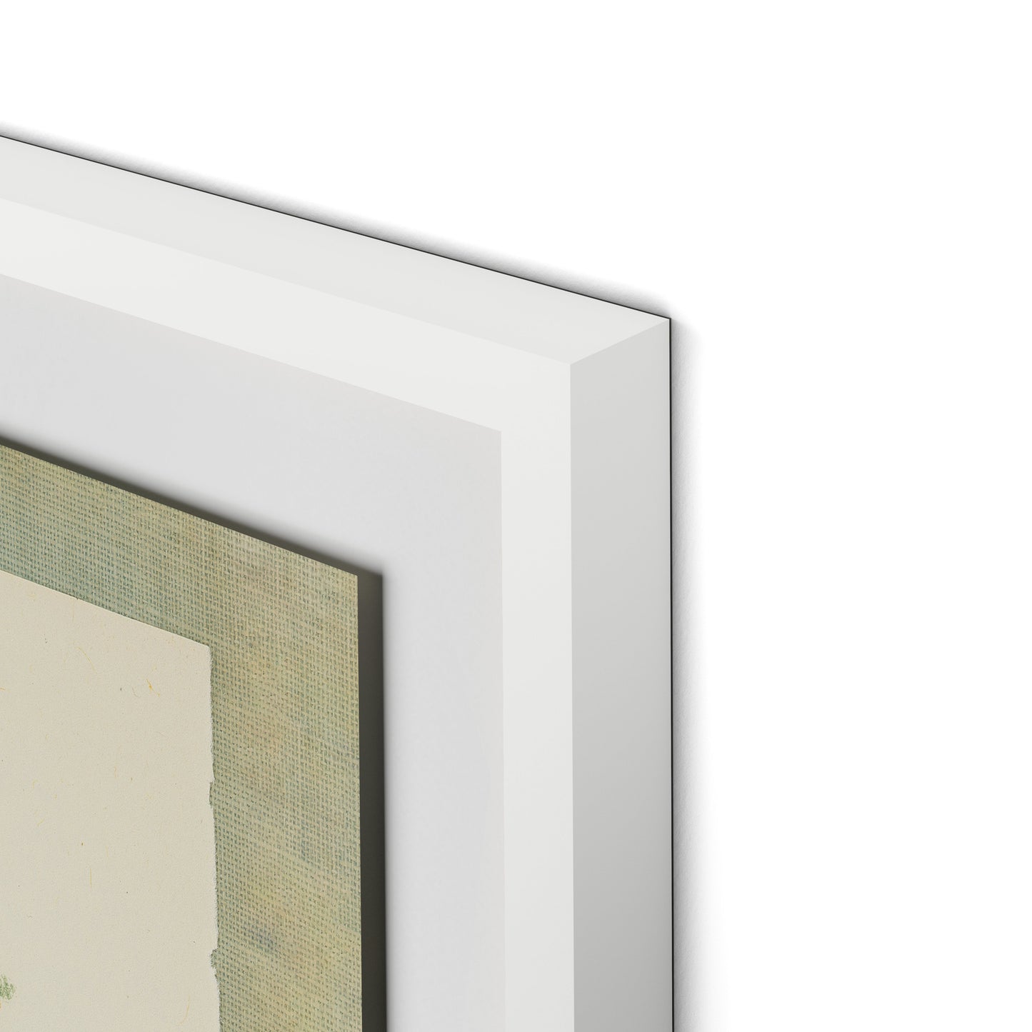 Sage Meadow Rue Framed Paper / 24 x 32 in / White