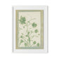 Sage Meadow Rue Framed Paper / 24 x 32 in / White