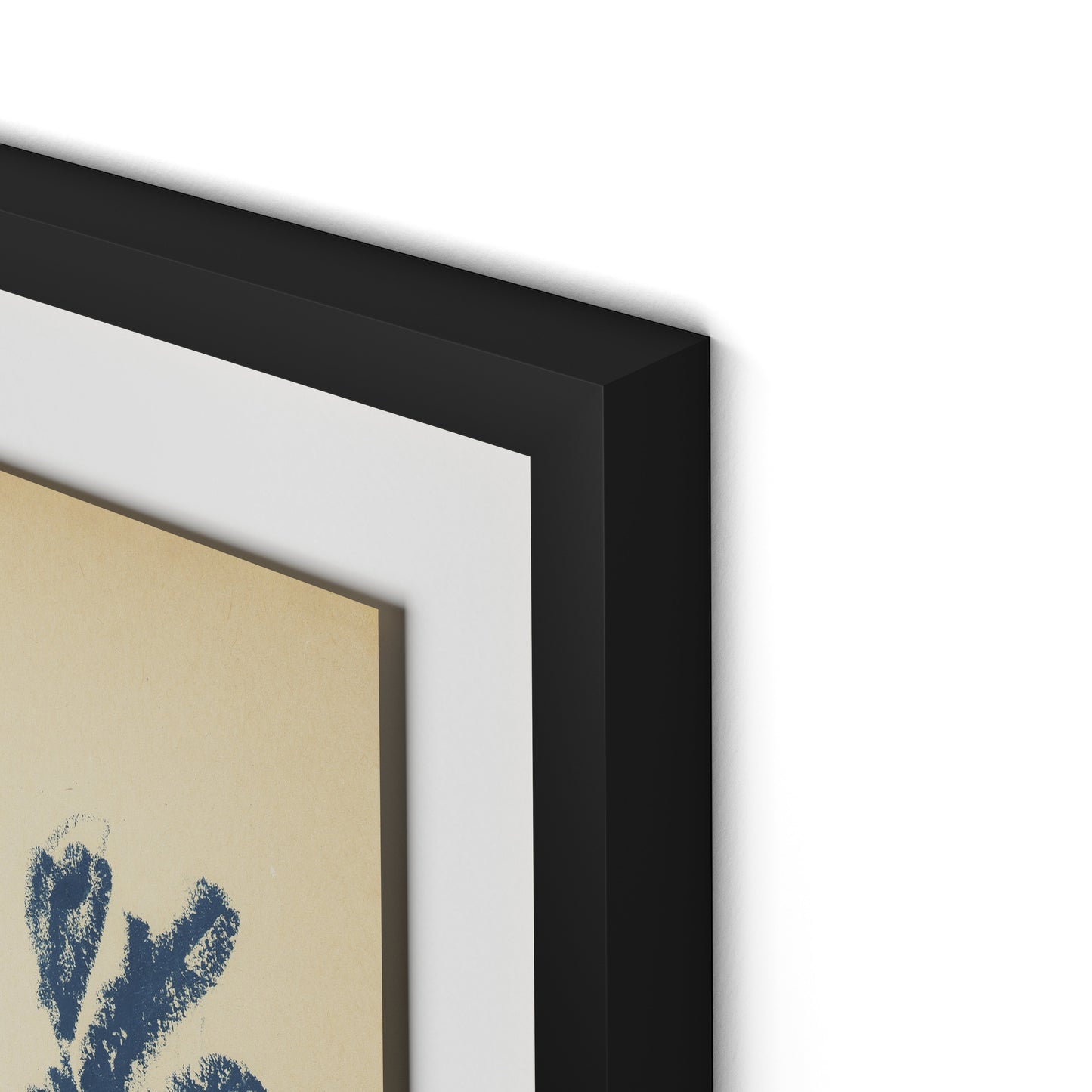 Summer Weed Framed Paper / 26.5 x 32 in / Black