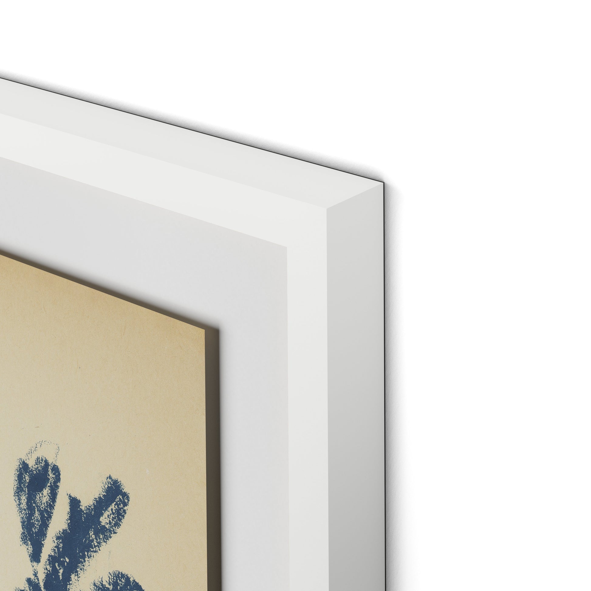 Summer Weed Framed Paper / 26.5 x 32 in / White